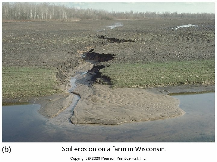 Soil erosion on a farm in Wisconsin. 