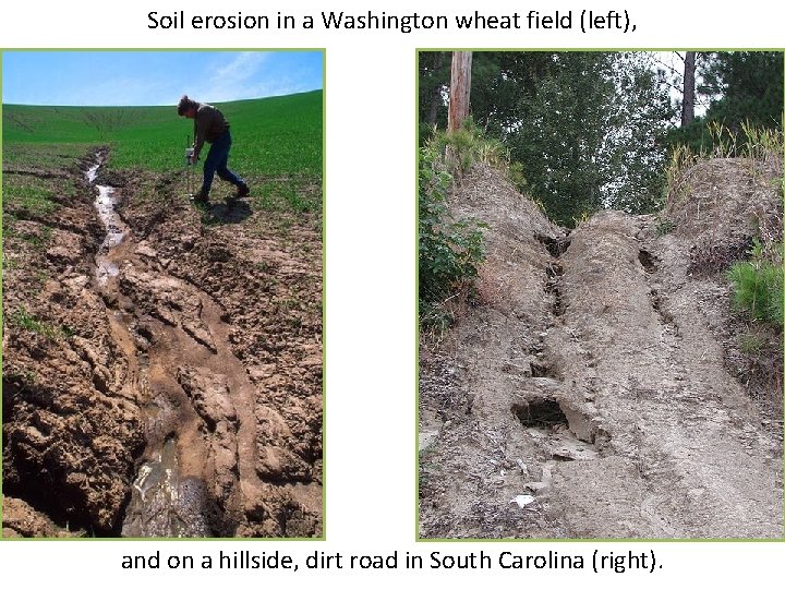 Soil erosion in a Washington wheat field (left), and on a hillside, dirt road
