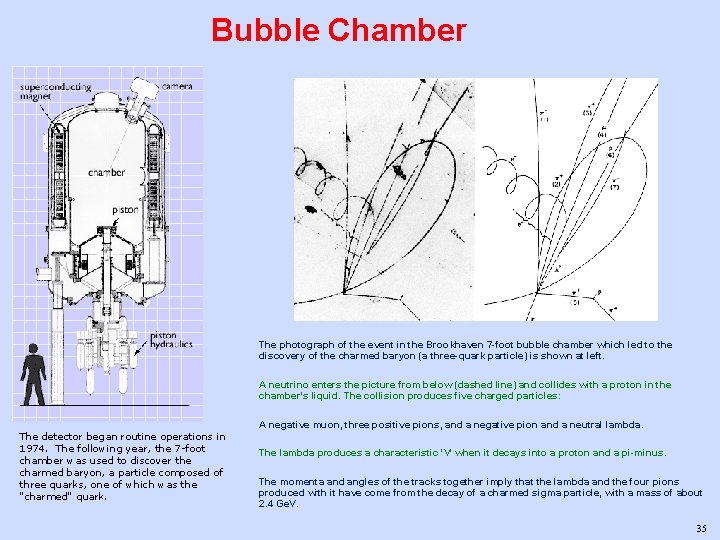 Bubble Chamber The photograph of the event in the Brookhaven 7 -foot bubble chamber