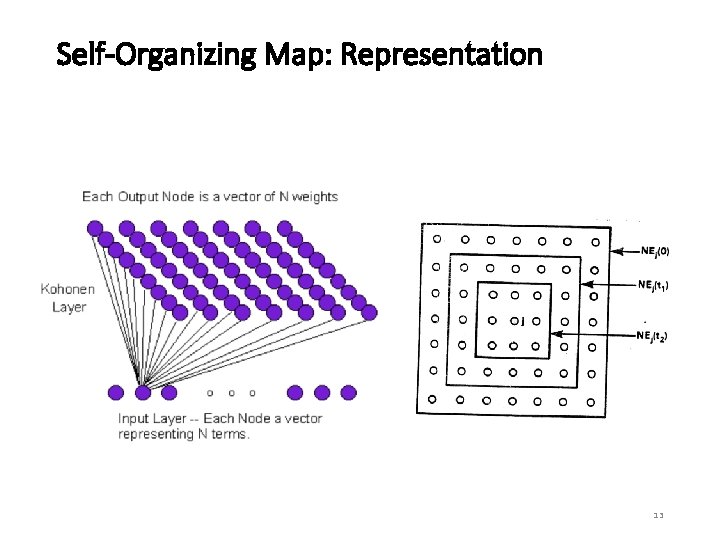 Self-Organizing Map: Representation 13 Self-Organizing Map: Representation 13
