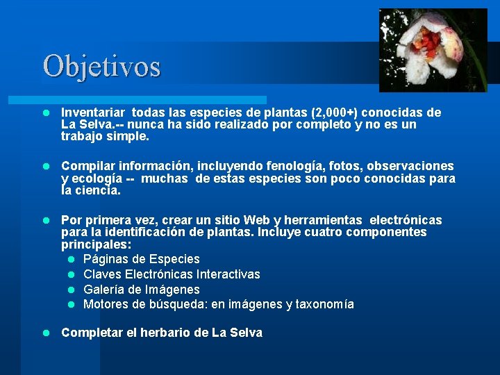 Objetivos l Inventariar todas las especies de plantas (2, 000+) conocidas de La Selva.