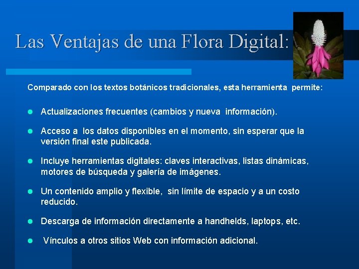 Las Ventajas de una Flora Digital: Comparado con los textos botánicos tradicionales, esta herramienta