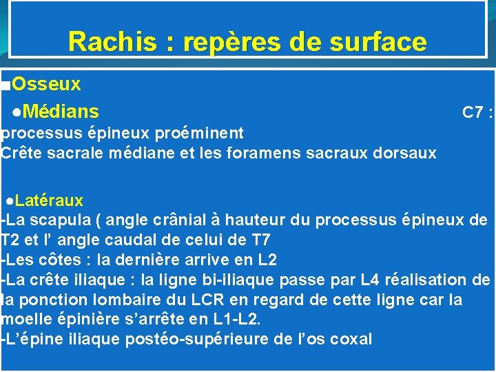 Rachis : repères de surface ■Osseux ●Médians C 7 : processus épineux proéminent Crête