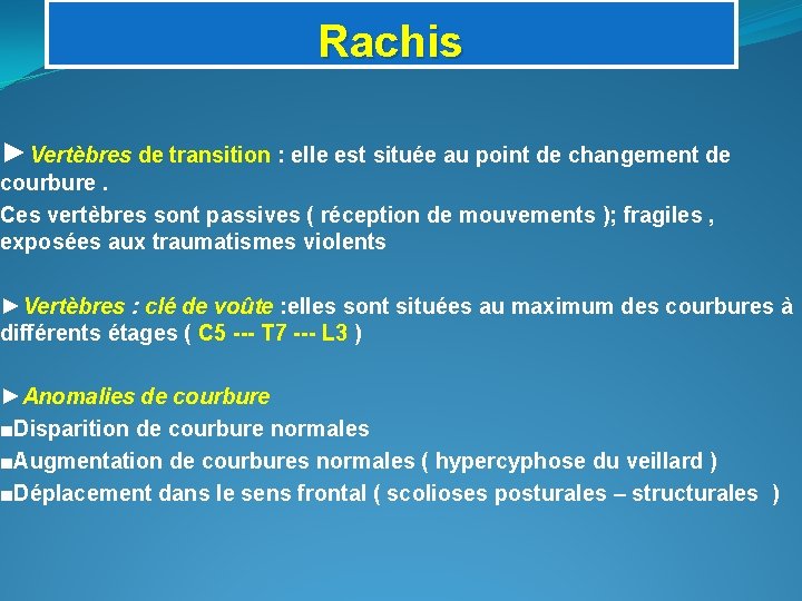 Rachis ►Vertèbres de transition : elle est située au point de changement de courbure.