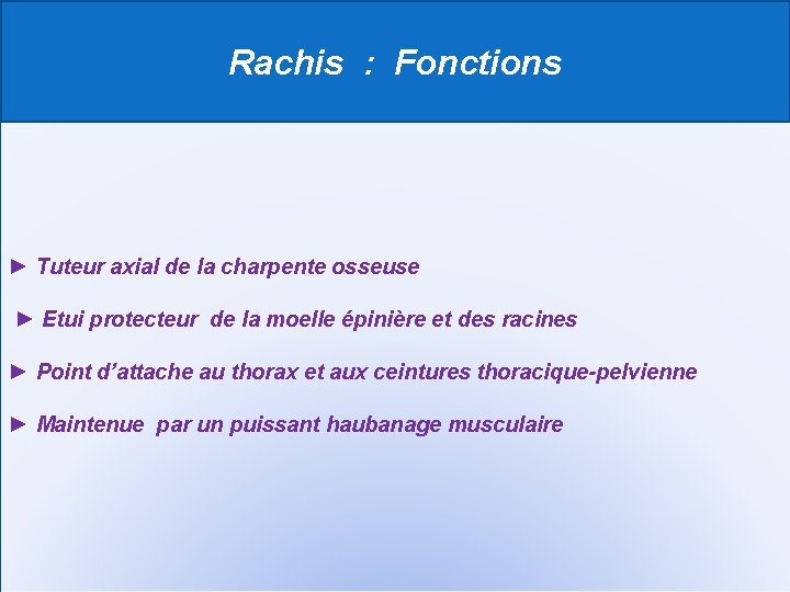 Rachis : Fonctions ► Tuteur axial de la charpente osseuse ► Etui protecteur de