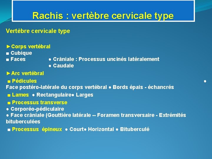 Rachis : vertèbre cervicale type Vertèbre cervicale type ►Corps vertébral ■ Cubique ■ Faces