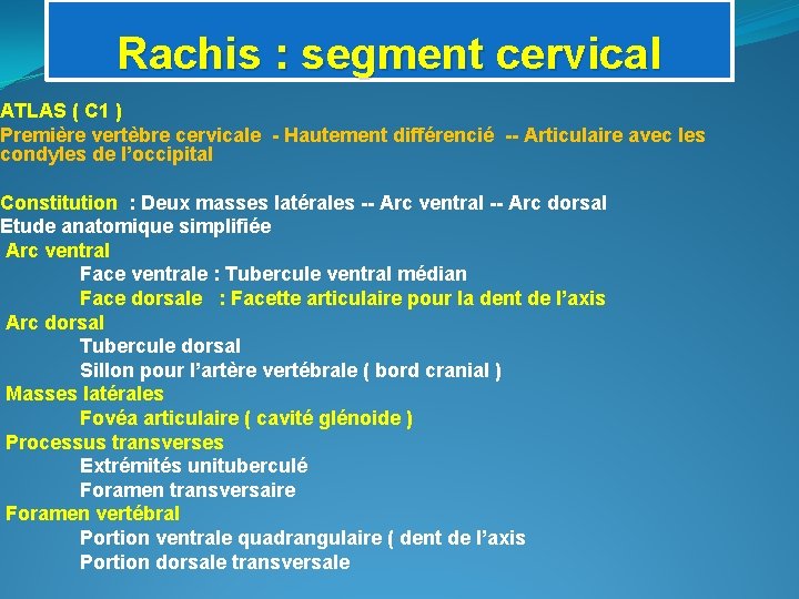 Rachis : segment cervical ATLAS ( C 1 ) Première vertèbre cervicale - Hautement