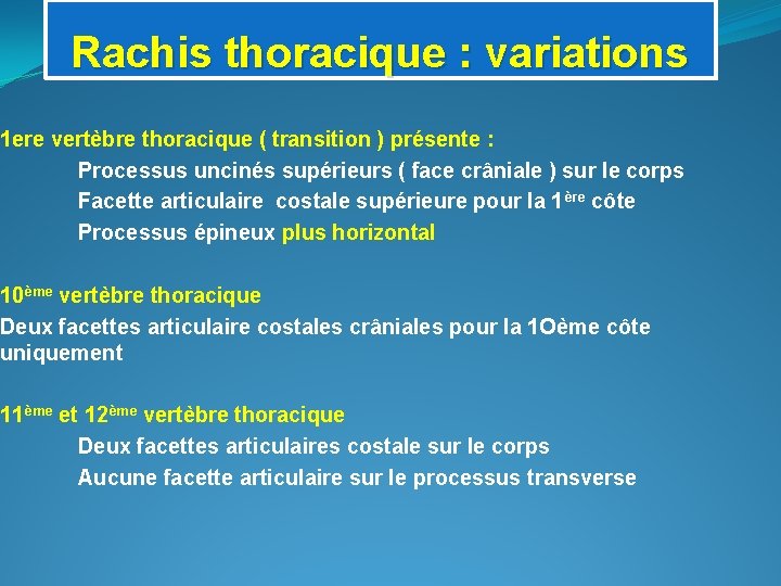 Rachis thoracique : variations 1 ere vertèbre thoracique ( transition ) présente : Processus