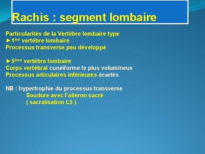 Rachis : segment lombaire Particularités de la Vertèbre lombaire type ► 1ère vertèbre lombaire