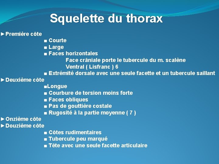 Squelette du thorax ►Première côte ■ Courte ■ Large ■ Faces horizontales Face crâniale