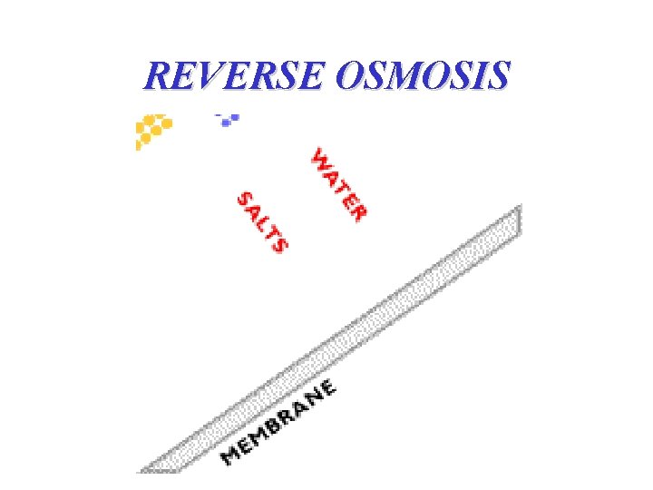 REVERSE OSMOSIS 