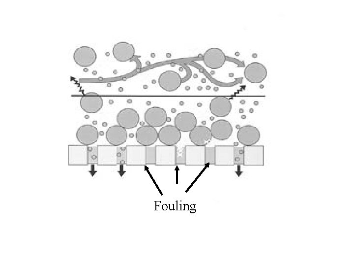 Fouling 