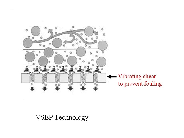 Vibrating shear to prevent fouling VSEP Technology 
