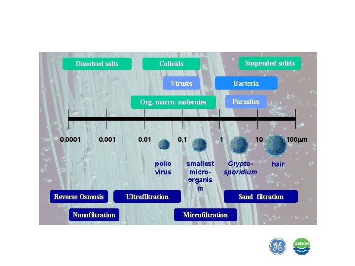 Dissolved salts Suspended solids Colloids Viruses Bacteria Parasites Org. macro. molecules 0. 0001 0.