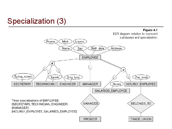 Specialization (3) 