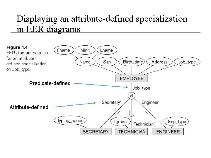Displaying an attribute-defined specialization in EER diagrams Predicate-defined Attribute-defined 