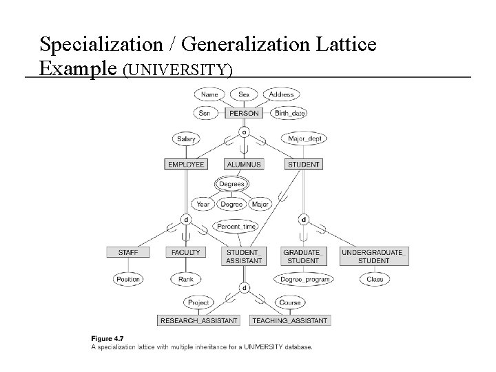 Specialization / Generalization Lattice Example (UNIVERSITY) 