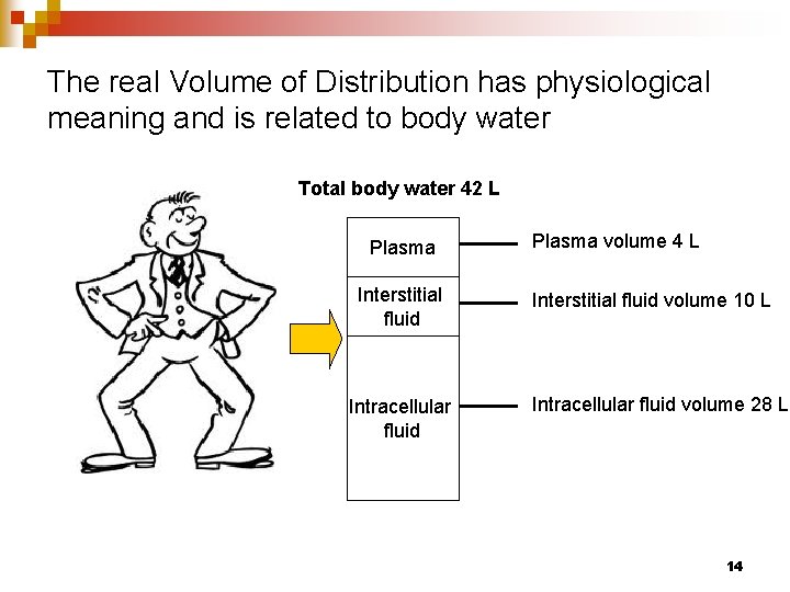 The real Volume of Distribution has physiological meaning and is related to body water