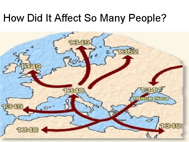 How Did It Affect So Many People? 