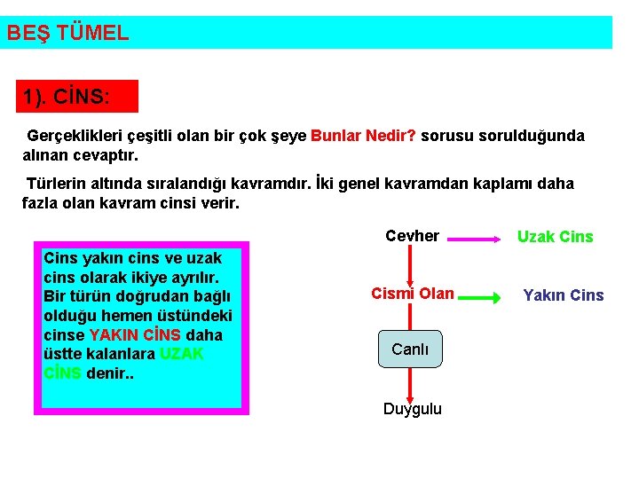 BEŞ TÜMEL 1). CİNS: Gerçeklikleri çeşitli olan bir çok şeye Bunlar Nedir? sorusu sorulduğunda