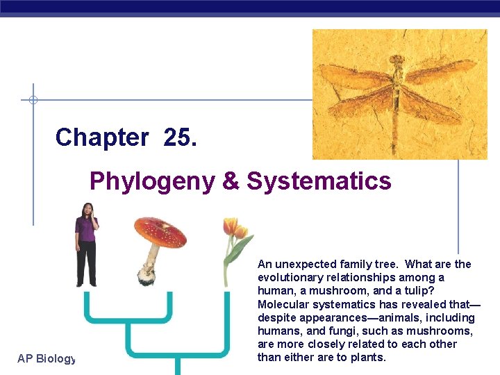 Chapter 25 Phylogeny Systematics Ap Biology An Unexpected