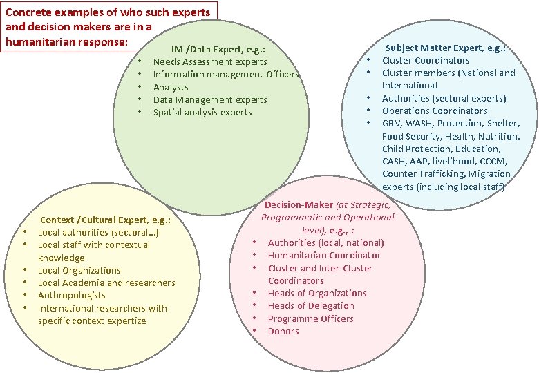 Concrete examples of who such experts and decision makers are in a humanitarian response: