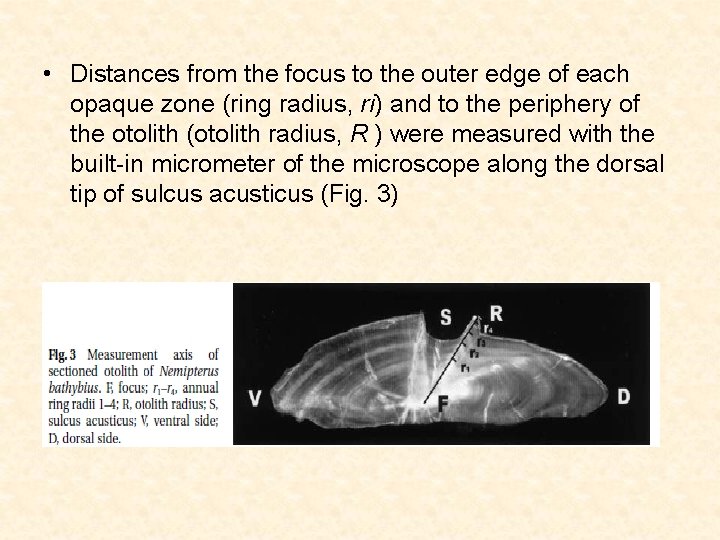  • Distances from the focus to the outer edge of each opaque zone