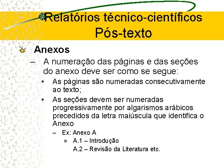 Relatórios técnico-científicos Pós-texto Anexos – A numeração das páginas e das seções do anexo