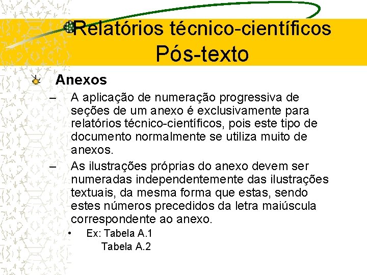 Relatórios técnico-científicos Pós-texto Anexos – – A aplicação de numeração progressiva de seções de