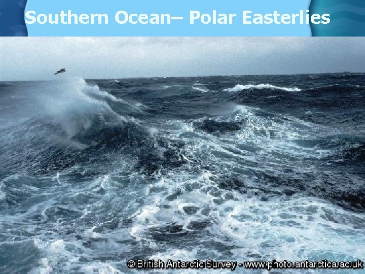 Southern Ocean– Polar Easterlies 