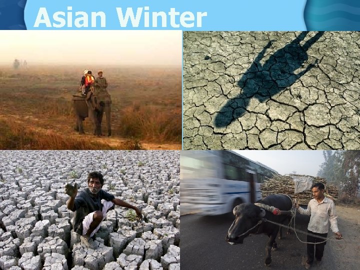 Asian Winter 