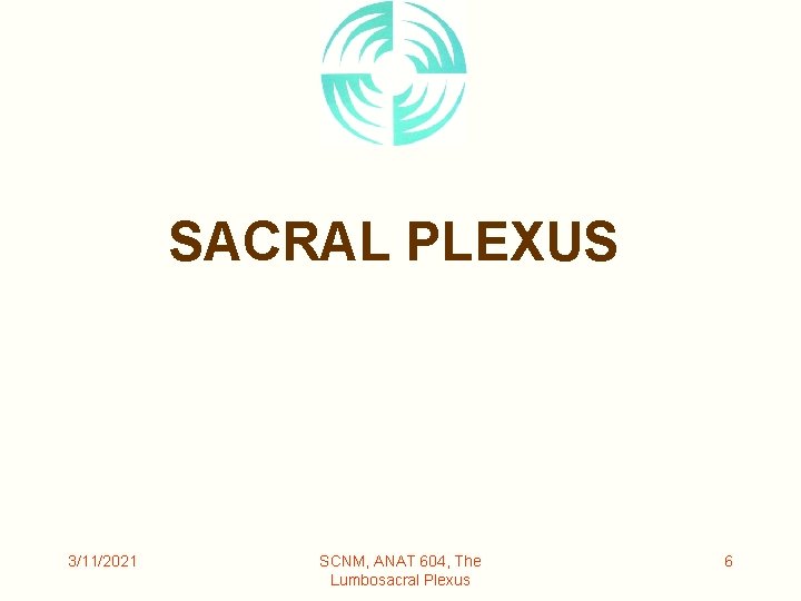 SACRAL PLEXUS 3/11/2021 SCNM, ANAT 604, The Lumbosacral Plexus 6 