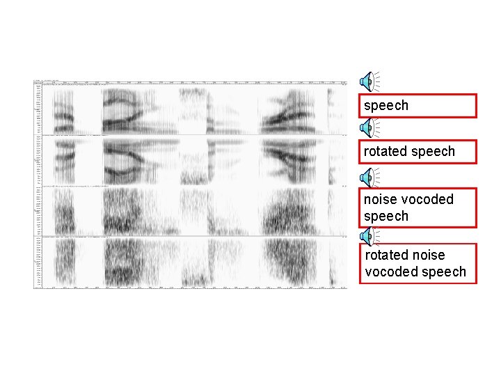 speech rotated speech noise vocoded speech rotated noise vocoded speech 