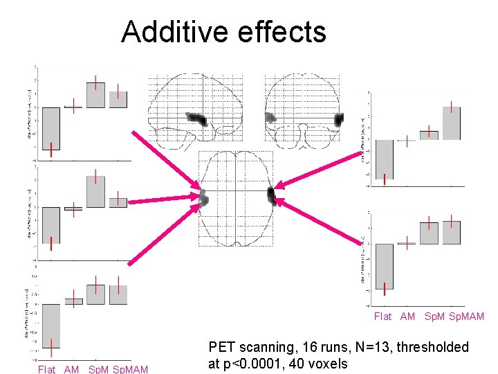 Additive effects Flat AM Sp. MAM PET scanning, 16 runs, N=13, thresholded at p<0.