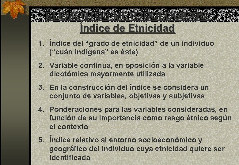 ELEMENTOS METODOLÓGICOS: Índice de Etnicidad 1. Índice del “grado de etnicidad” de un individuo