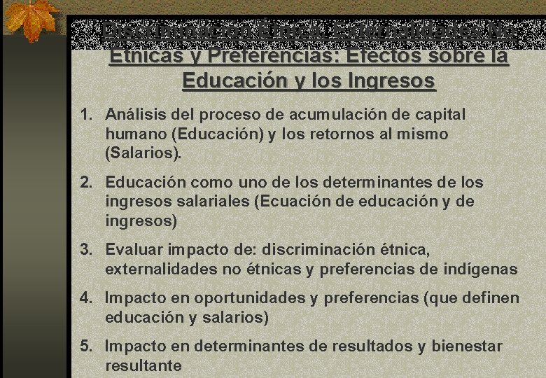 Discriminación Étnica, Externalidades No Étnicas y Preferencias: Efectos sobre la Educación y los Ingresos