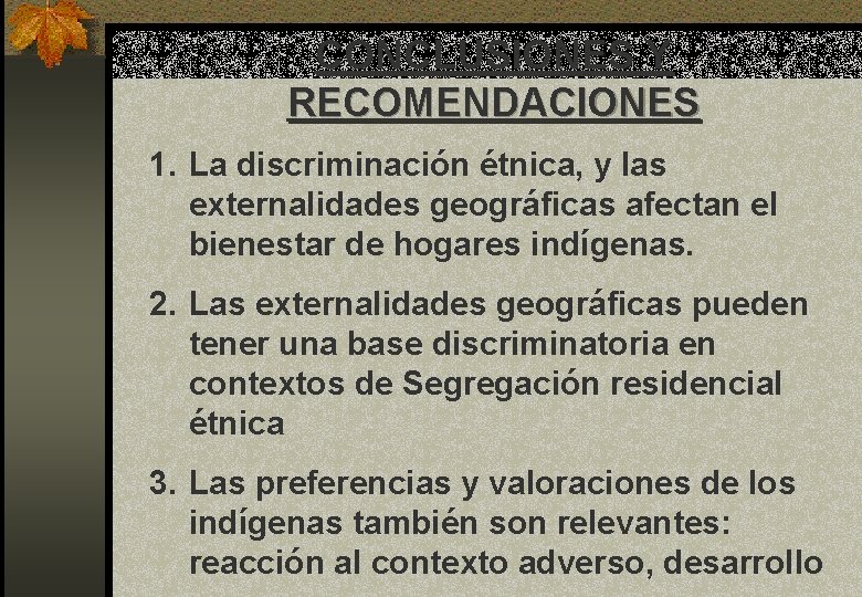 CONCLUSIONES Y RECOMENDACIONES 1. La discriminación étnica, y las externalidades geográficas afectan el bienestar