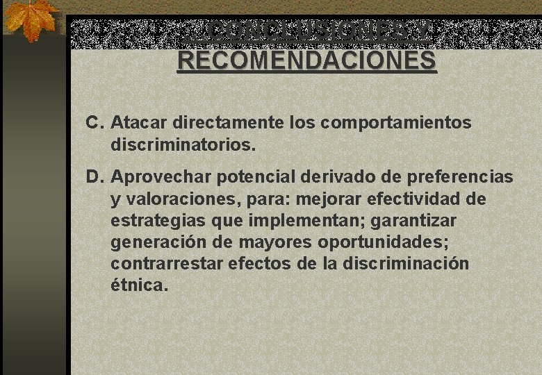 …CONCLUSIONES Y RECOMENDACIONES C. Atacar directamente los comportamientos discriminatorios. D. Aprovechar potencial derivado de