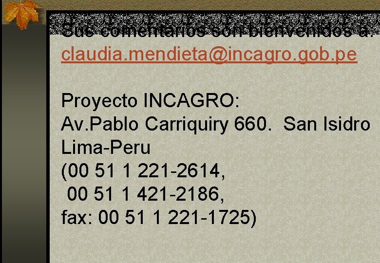 Sus comentarios son bienvenidos a: claudia. mendieta@incagro. gob. pe Proyecto INCAGRO: Av. Pablo Carriquiry