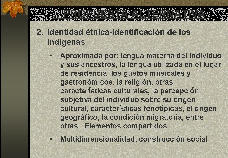 …PROPUESTA ALTERNATIVA 2. Identidad étnica-Identificación de los Indígenas • Aproximada por: lengua materna del