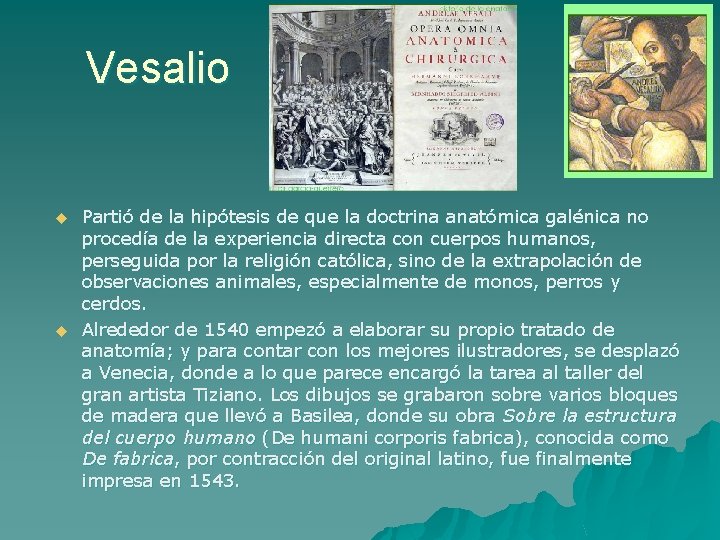 Vesalio u u Partió de la hipótesis de que la doctrina anatómica galénica no