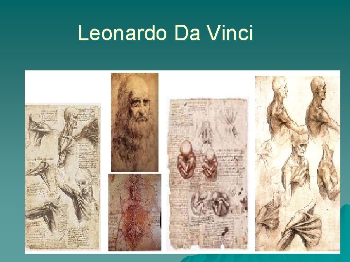 Leonardo Da Vinci 