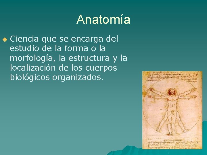 Anatomía u Ciencia que se encarga del estudio de la forma o la morfología,