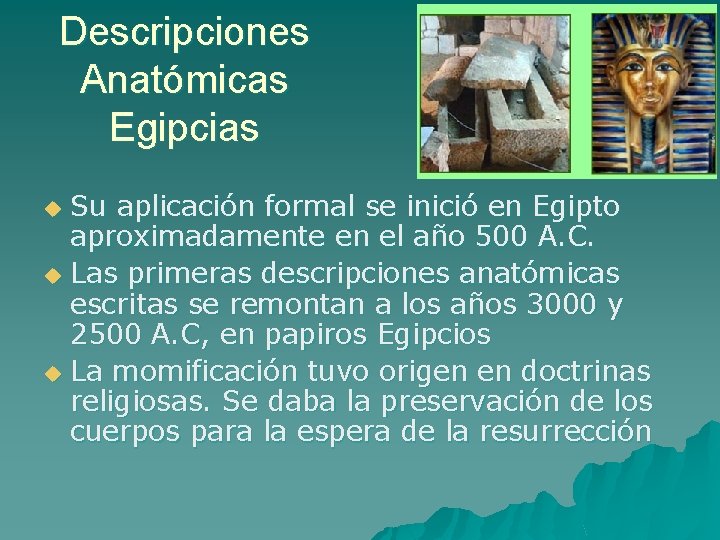 Descripciones Anatómicas Egipcias Su aplicación formal se inició en Egipto aproximadamente en el año