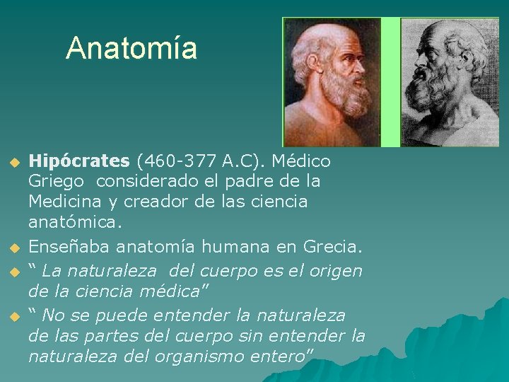 Anatomía u u Hipócrates (460 -377 A. C). Médico Griego considerado el padre de