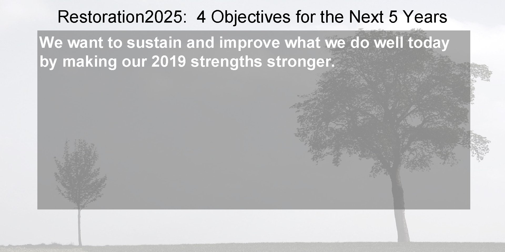 Restoration 2025: 4 Objectives for the Next 5 Years We want to sustain and