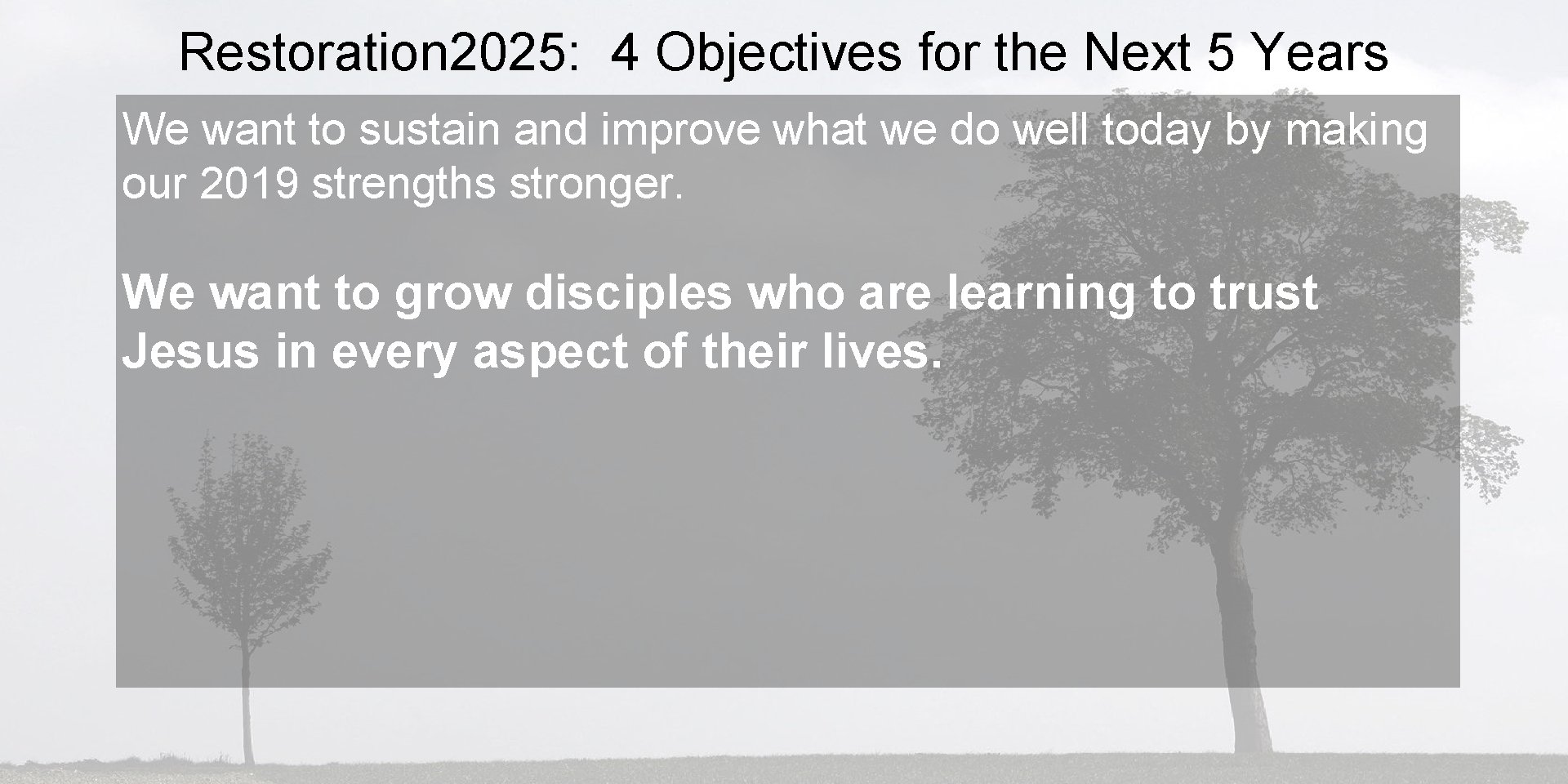 Restoration 2025: 4 Objectives for the Next 5 Years We want to sustain and