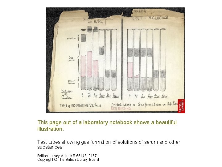 This page out of a laboratory notebook shows a beautiful illustration. Test tubes showing