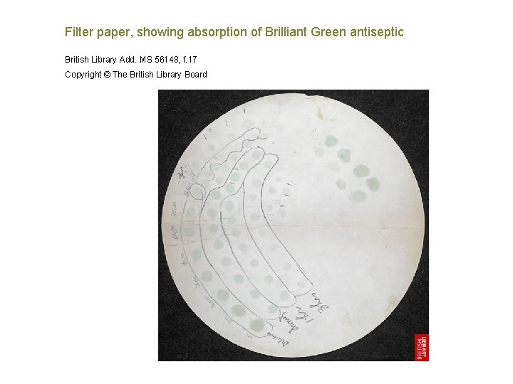 Filter paper, showing absorption of Brilliant Green antiseptic British Library Add. MS 56148, f.