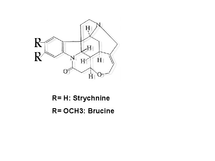 R= H: Strychnine R= OCH 3: Brucine 